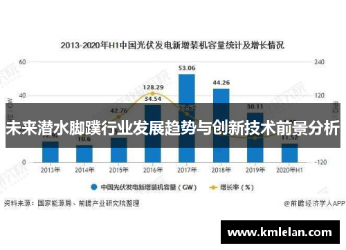 未来潜水脚蹼行业发展趋势与创新技术前景分析