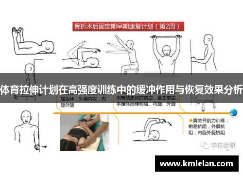 体育拉伸计划在高强度训练中的缓冲作用与恢复效果分析